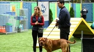 Sonsuza Dek Senin Köpeğin
