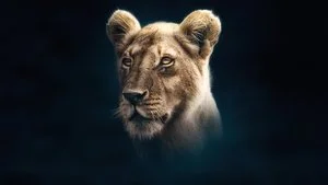 Aslan