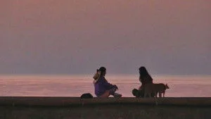 4. Bölüm