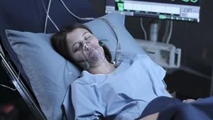 Borular