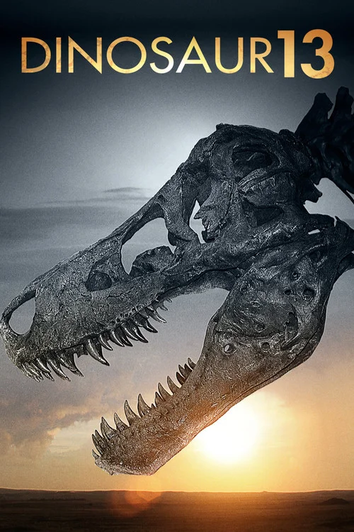 Dinosaur 13