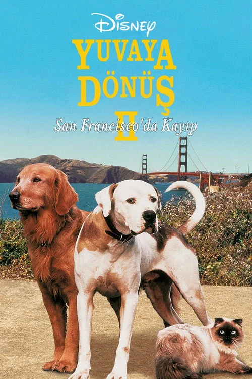 Homeward Bound II: Lost in San Francisco